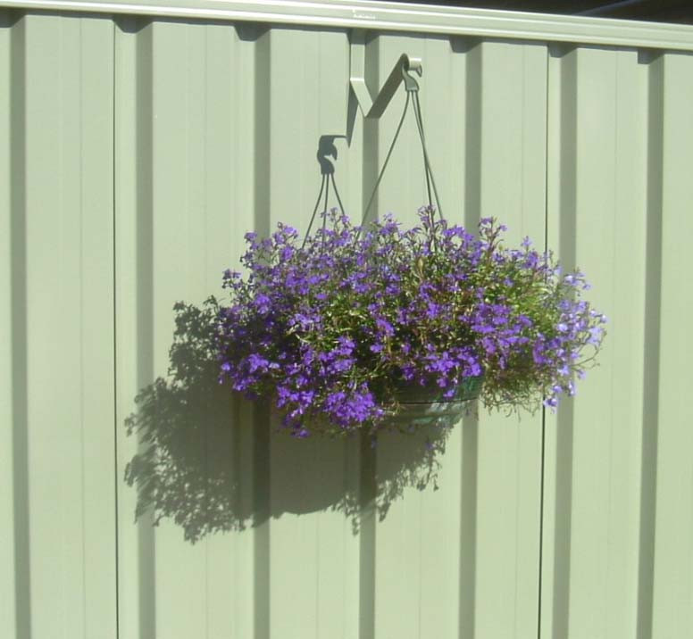 Colorbond  Fence Hanging Basket Hangup